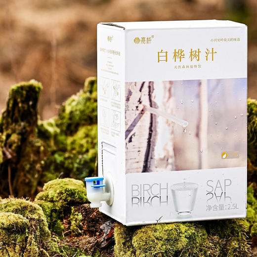 【嘉桦白桦树汁原汁】清爽革命！，Z世代的新宠，源自大自然的甘冽秘密，纯净口感 商品图1