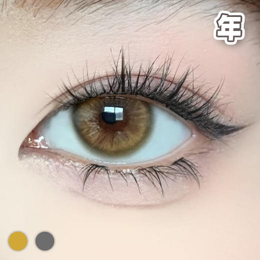 #Lris 拒绝内耗 棕/灰绿 14.2mm 【1片装】舒适推荐 / 年抛 商品图0