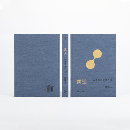 偶遇：在漫游中感知艺术 巫鸿 著（第20届文津奖获奖图书） 商品图3