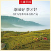 小罐茶园 经典组合茶340g 商品缩略图3