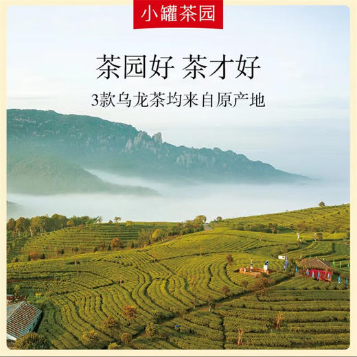 小罐茶园 经典组合茶340g 商品图3
