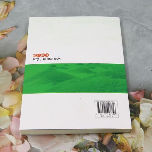 磴口模式科学、原理与技术 &2785 商品图1
