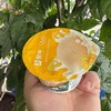 蒙牛芒果杯 商品缩略图0