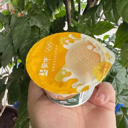 蒙牛芒果杯 商品图0