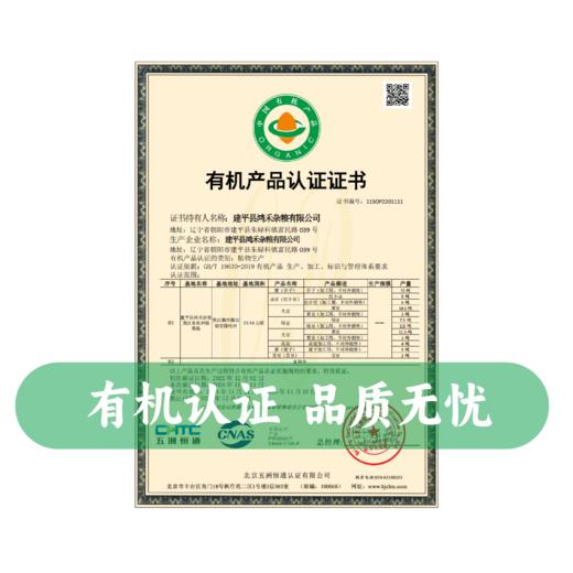 谦益香酥炒黑豆235g 生态有机黑豆 无油干炒 原味豆香 营养丰富 高蛋白 居家休闲 上班补充能量优选 商品图3