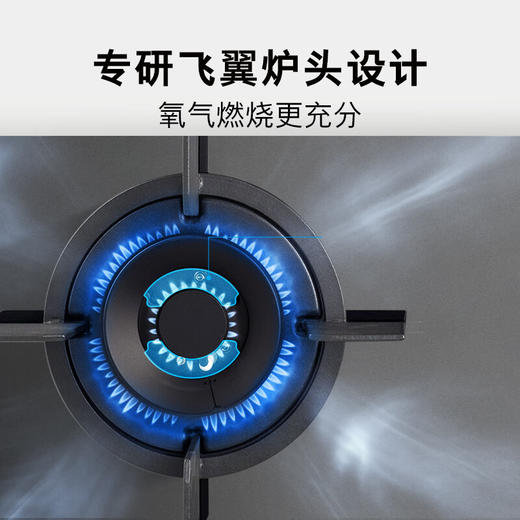 博世（BOSCH）4系 5.2kW家用大火力燃气灶 秒速点火 易清洁灶头 安全熄火保护 一级能效 星际灰钢化玻璃面板 天然气 PDG733VBMP 商品图2