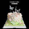 春日鲜花蝴蝶款 生日蛋糕 商品缩略图0