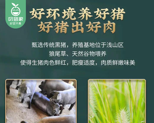 龙岩武平散养黑猪·猪蹄（500g±30g/份） 商品图4