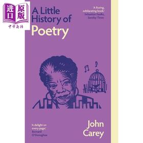 【中商原版】耶鲁小史 诗歌小史 新版 A Little History of Poetry 英文原版 John Carey 古典文学 现当代诗歌 