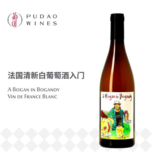 耿弟耕地白葡萄酒 A Bogan in Bogandy Vin de France Blanc 商品图0