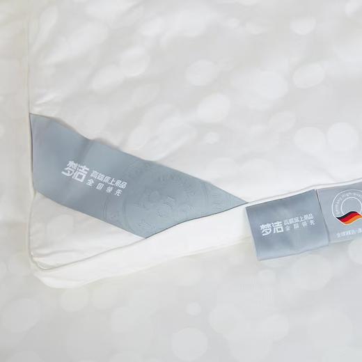 梦洁  德国芯进口抗菌四季被：金海 商品图4