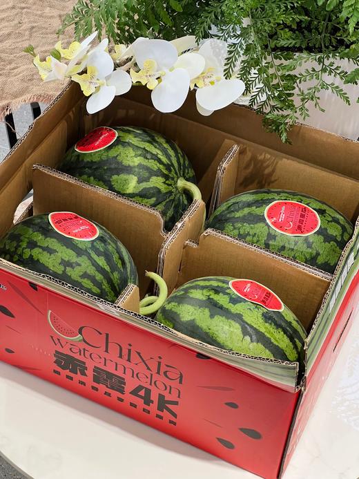 赤霞甘美4K无籽西瓜  好吃的甘美西瓜 商品图5