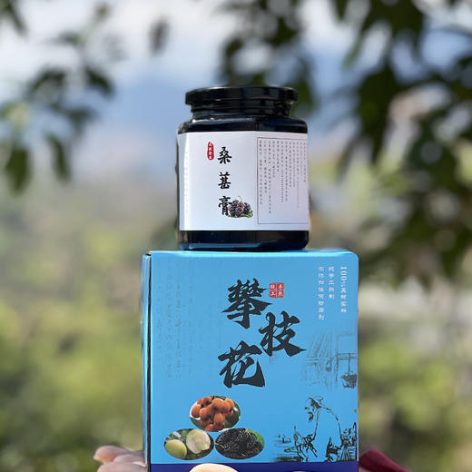 【桑葚膏】纯桑葚手工熬制  零添加 口感醇正！ 商品图0