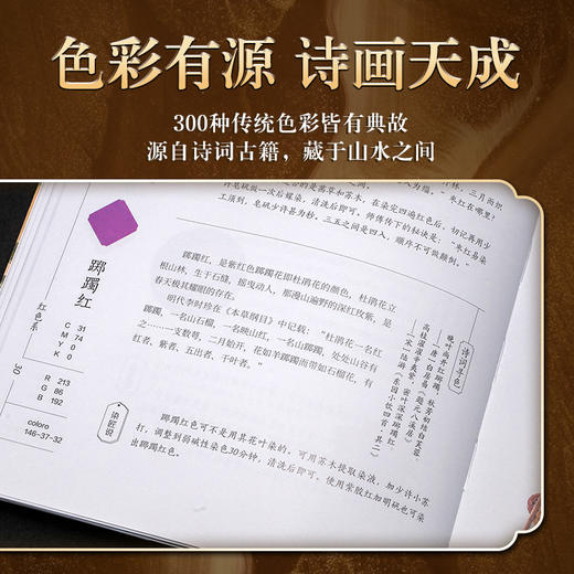 《国色300色：染出经典里的中国传统色》 商品图2
