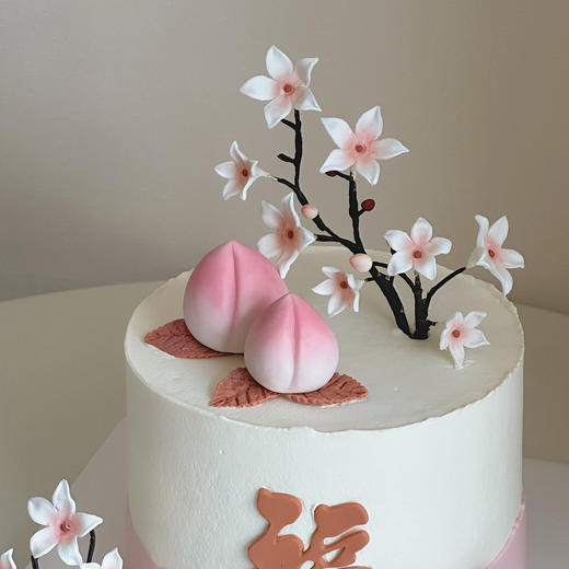 福寿绵长 商品图3