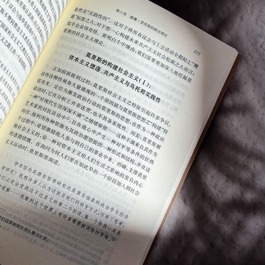 审美、行动与乌托邦 威廉·莫里斯的政治思想 欧诺弥亚·不列颠古典法学丛编 商品图13