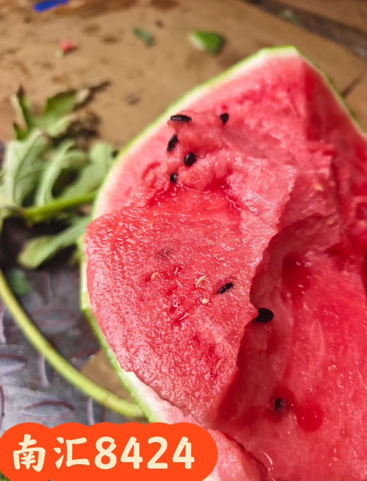 南汇8424西瓜礼盒装（毛重14-16斤） 商品图0