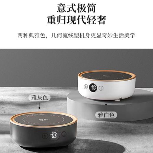 智蔚 谷语电陶炉ZW-306 1300W 商品图3