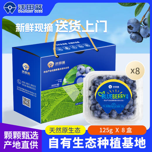 国产沃田蓝蓝莓125g*8盒装（果径18mm）【分仓直发，72小时发货，周末节假日不发货】 商品图0