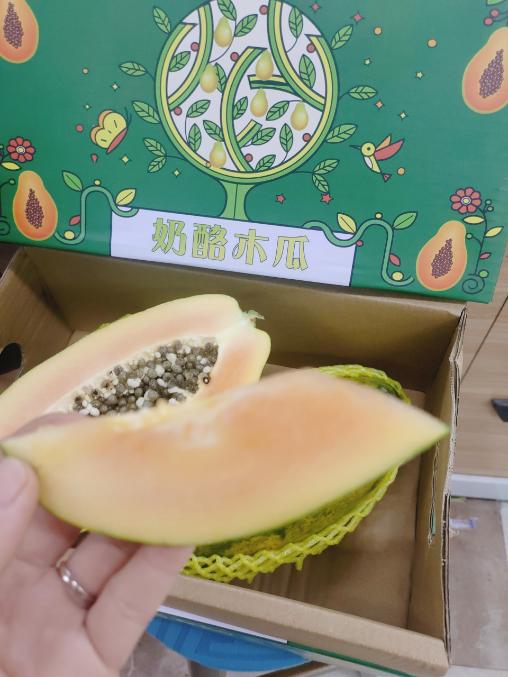 奶酪木瓜一箱 商品图1