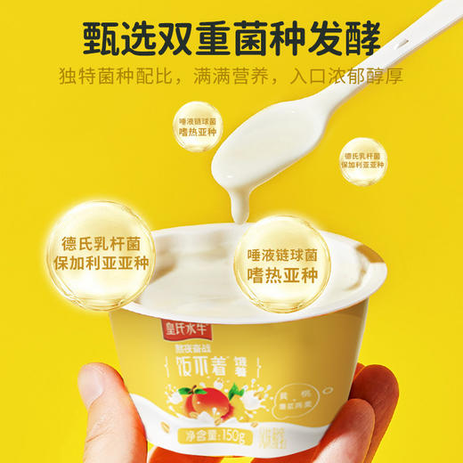 皇氏水牛 饭不着爆浆燕麦酸奶 150g*10 黄桃味  桑葚草莓味 商品图2