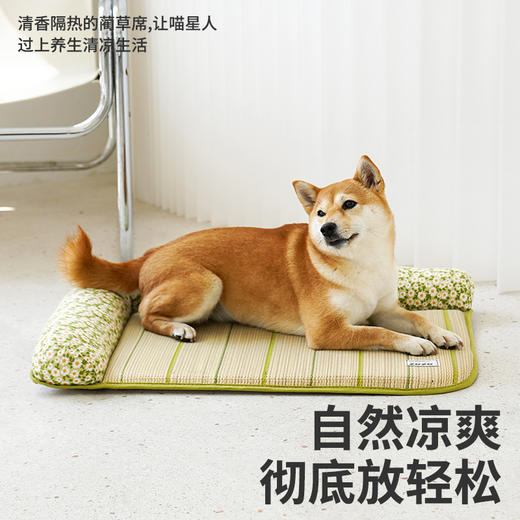 zeze新款蔺草宠物垫-B（包邮） 商品图3