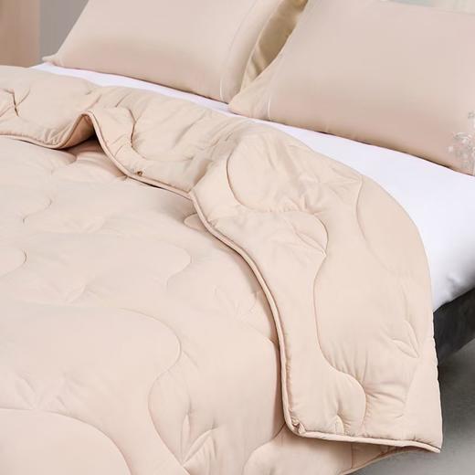 梦洁 东方茶叶抗菌四季被 商品图2