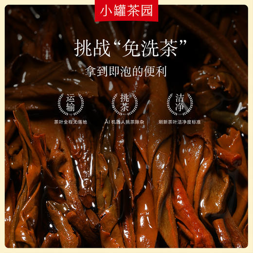 小罐茶园 红茶组合茶120g 商品图5