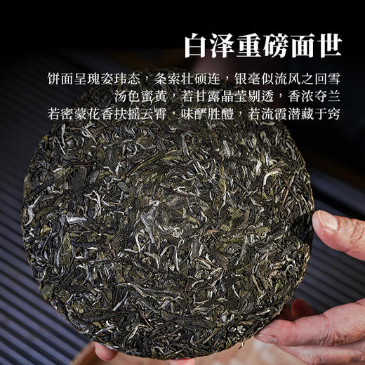 【2025年春茶预售】【白泽】神兽事业部2025年重磅力作 本品将超越市值25万的雪印青饼，代表着当代普洱茶界蕞高水平！357克/饼单饼铁盒装 7饼/箱 商品图1