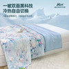 ROMASTER(罗马世家)冷暖双面夏凉被富含大豆纤维A类标准数码印花亲肤透气10款可选（单被子无枕头） 商品缩略图2