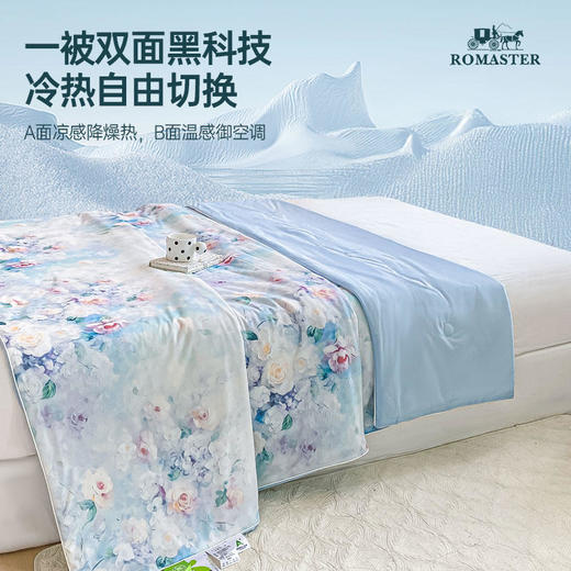 ROMASTER(罗马世家)冷暖双面夏凉被富含大豆纤维A类标准数码印花亲肤透气10款可选（单被子无枕头） 商品图2