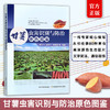 甘薯虫害识别与防治原色图鉴【官方正版，可开发票】 商品缩略图0