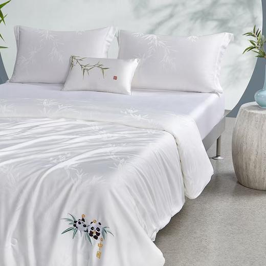 梦洁 丝柔提花纯桑蚕丝四季被：中国印象 商品图2