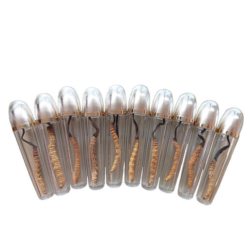 康有名冬虫夏草 10支 3克装/盒【LXKGZQ8.0】 商品图3