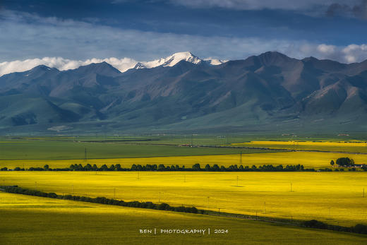 甘青环线——天境祁连、门源油菜花海、黄河石林、永泰古城、秘境丹霞、山丹军马场、马蹄寺石窟8天摄影团 商品图2