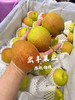 宏丰精选，正宗库尔勒香梨，口感脆甜，水份足，活动价9.9元一斤 商品缩略图10