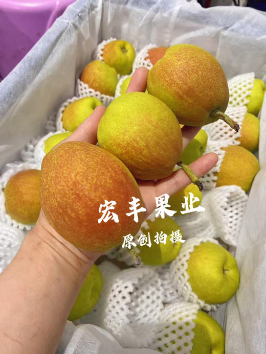宏丰精选，正宗库尔勒香梨，口感脆甜，水份足，活动价9.9元一斤 商品图10