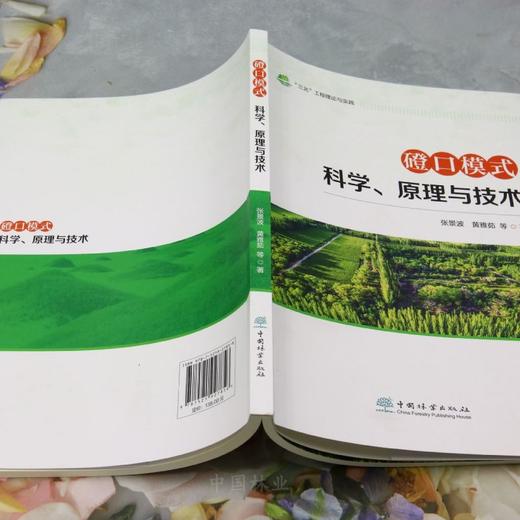 磴口模式科学、原理与技术 &2785 商品图2