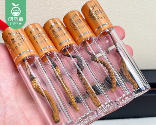 西藏那曲冬虫夏草礼盒（干货）/1盒（20条，共4-4.2g）生产日期：25年9月补单专用 商品图1