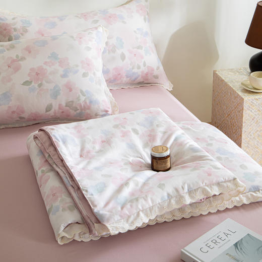 【5折购】A类双层纱大豆夏凉被空调被夏被四件套 商品图1