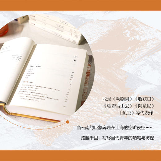 朝着雪山去 商品图1