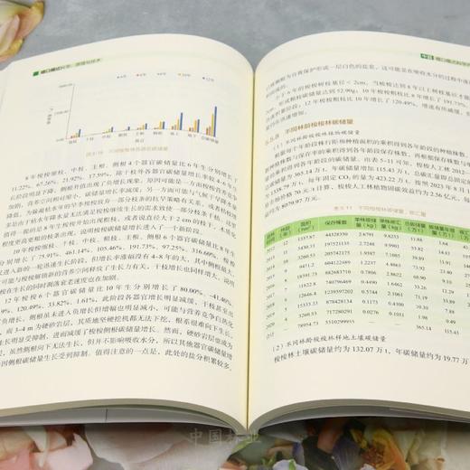 磴口模式科学、原理与技术 &2785 商品图3