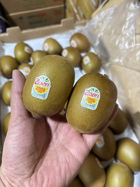 新西兰佳沛金果一盒5枚装