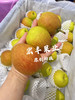 宏丰精选，正宗库尔勒香梨，口感脆甜，水份足，活动价9.9元一斤 商品缩略图9