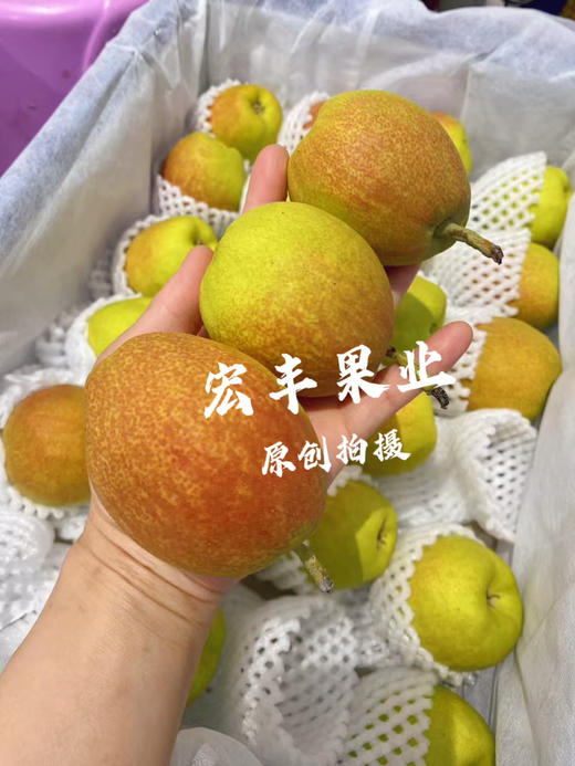 宏丰精选，正宗库尔勒香梨，口感脆甜，水份足，活动价9.9元一斤 商品图9