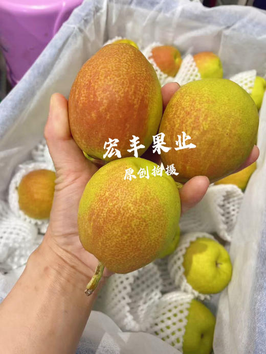宏丰精选，正宗库尔勒香梨，口感脆甜，水份足，活动价9.9元一斤 商品图11