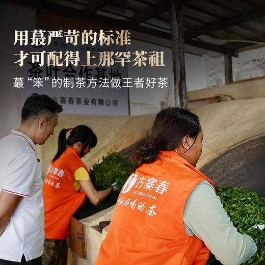 【2025年春茶预售】【那罕茶祖】 选自那罕茶区蕞大古树，茶界鼎级奢侈产品，与皇帝跨时代共饮；一箱内含100克*5饼 稀少珍贵 先到先得！ 商品图3