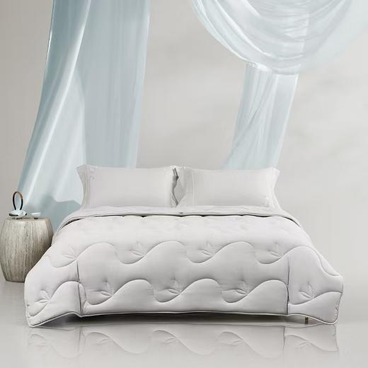 梦洁 东方茶叶抗菌四季被 商品图1