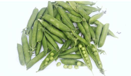 新鲜带壳豌豆500g 商品图1