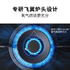博世（BOSCH）4系5.2kW大火力 家用嵌入式双灶头燃气灶 秒速点火 易清洁灶头 安全熄火保护 玻璃面板 一级能效 天然气 PDBMTA31MP 商品缩略图5